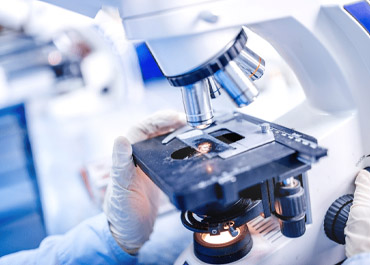 Laboratory Facilities