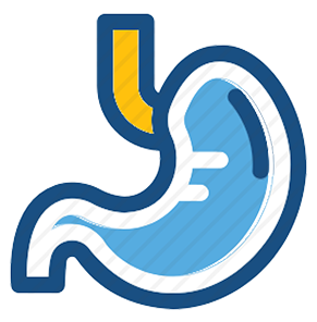 fetal echo scan cuddalore